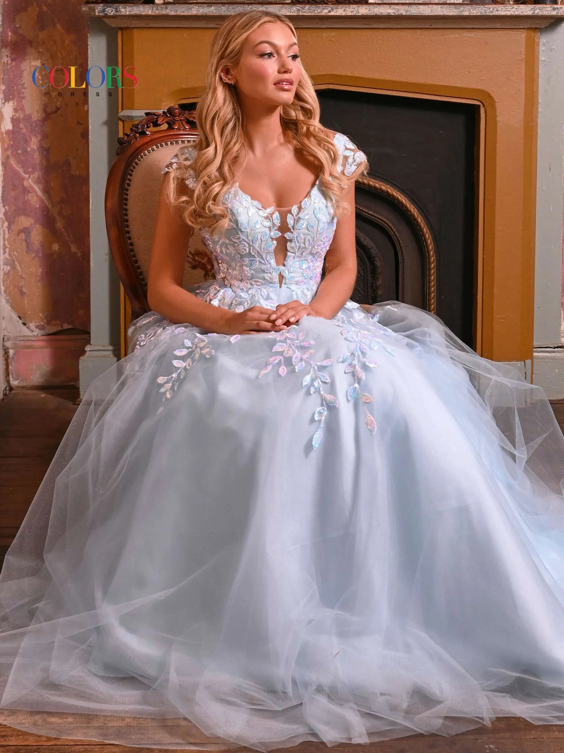 Sheer 2024 ball gown