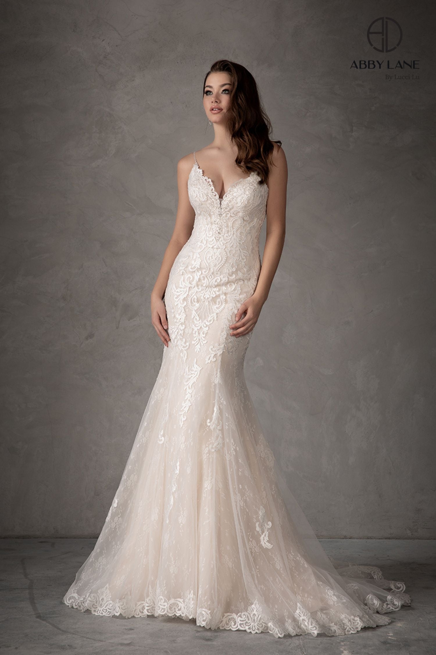 Abby Lane 97108 Size 2 Ivory Champagne Wedding Dress Lace Mermaid Bridal Gown Train Sheer Back Abby Lane 97108 Size 2 Ivory Champagne Wedding Dress Lace Mermaid Bridal Gown Train Sheer Back