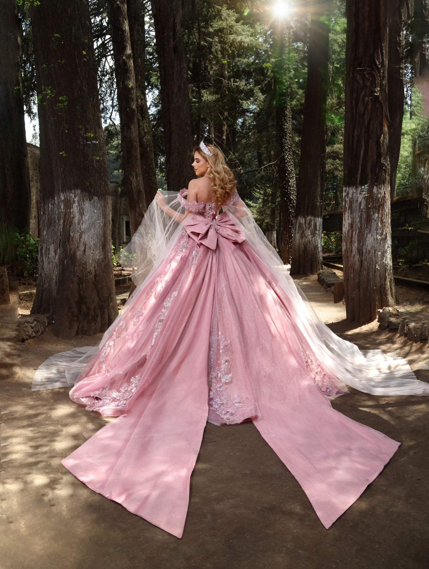 Nina Canacci Q117 Blush/Burgundy Quinceneara Dress Cape Sleeves Off the Shoulder 3D Flowers Glitter Tulle