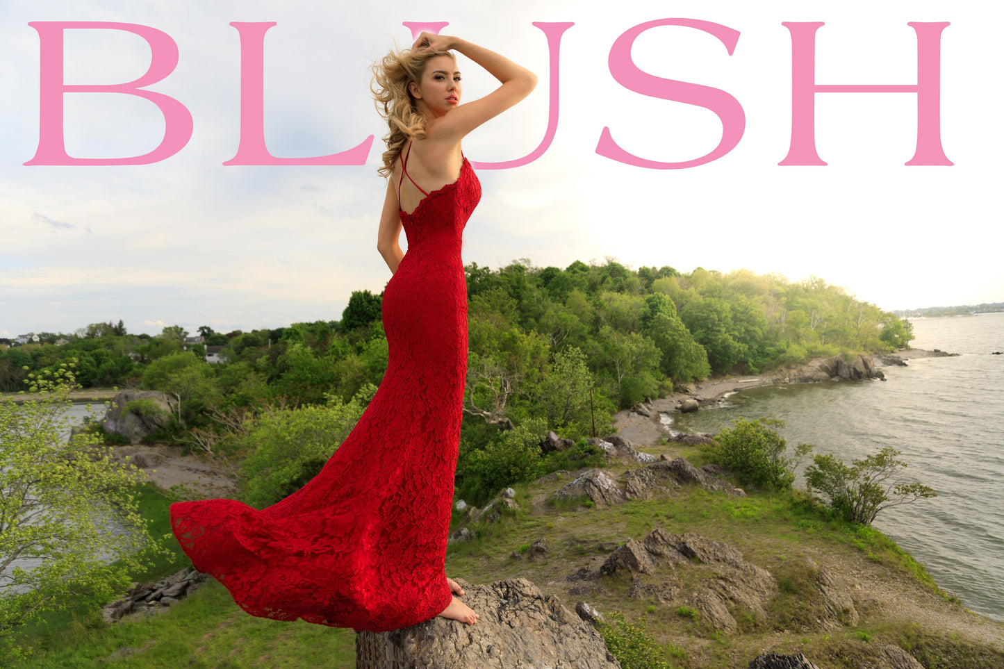 Blush Prom Dress 11905 Size 0 Aubergine Long Fitted Lace Prom Dress Plunging Neckline Mermaid Train