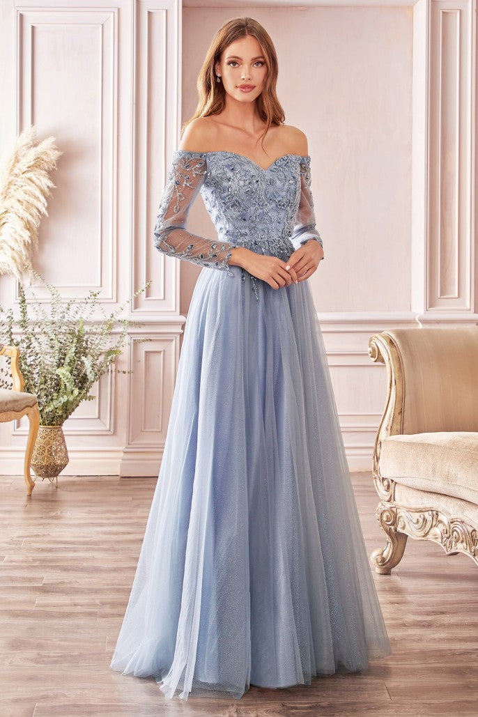 CD 0172 Size 12 Long Shimmer A Line Mother of Sheer Long Sleeve Dress Off The Shoulder CD 0172 Size 12 Long Shimmer A Line Mother of Sheer Long Sleeve Dress Off The Shoulder
