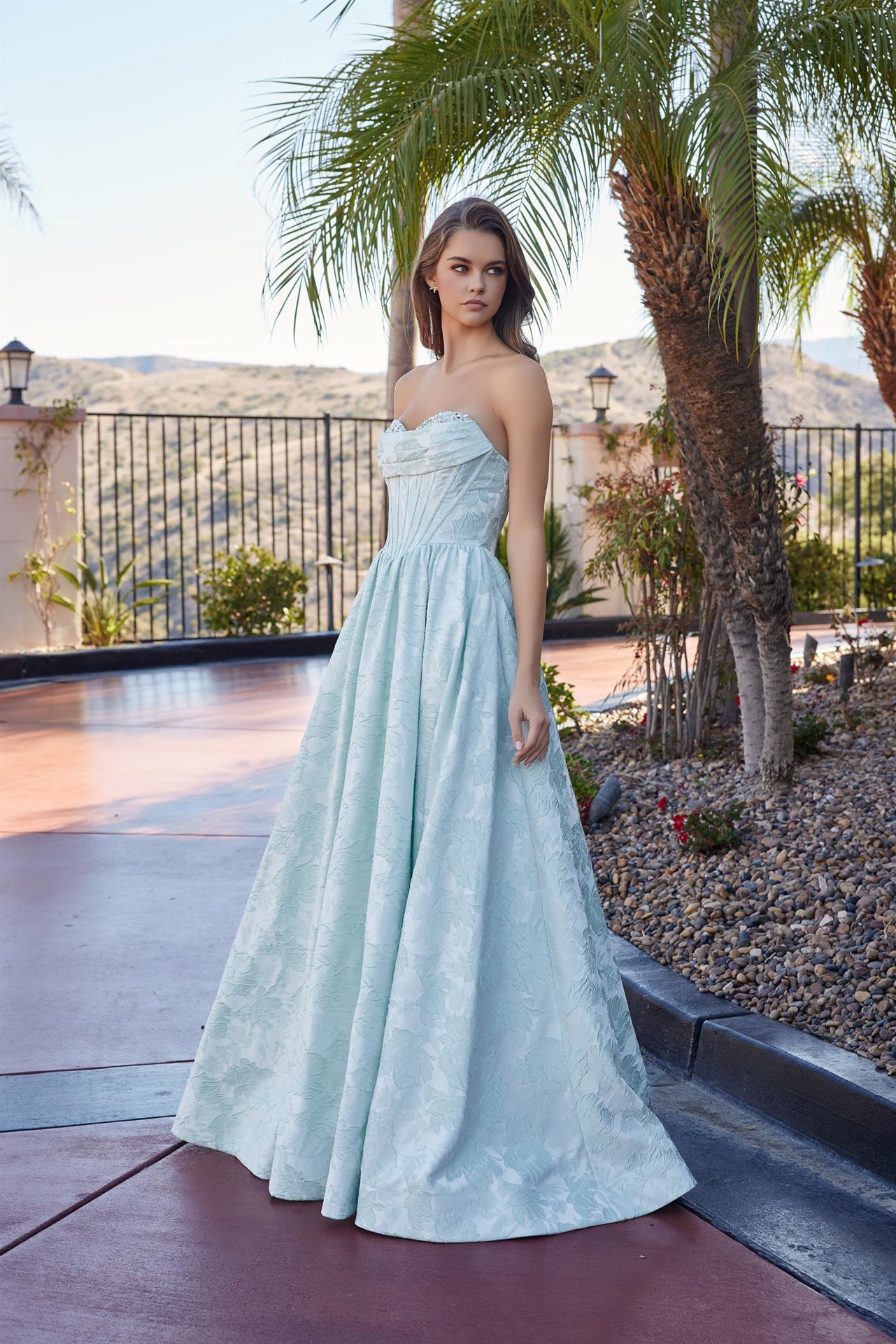 Nox Anabel's T1912 strapless prom dress combines timeless elegance with modern glamour. The structured A-line silhouette flatters every figure, while the crystal-embellished corset bodice adds sophisticated sparkle. A sweetheart neckline frames the shoulders beautifully, and the dramatic train creates a show-stopping entrance. Perfect for prom, formal galas, or black-tie events where you want to make an unforgettable impression.

Sizes: 00-16

Colors: Lilac, Sage Green, Yellow