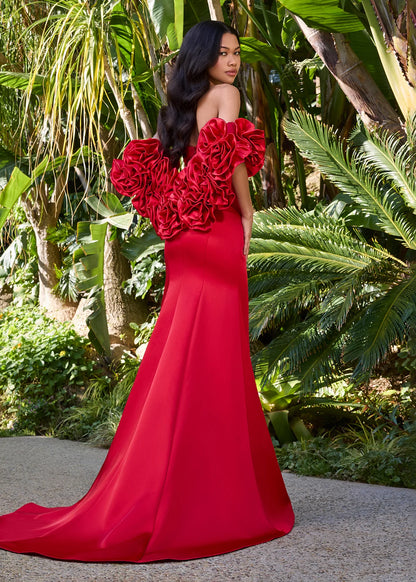 Ashley Lauren Style 12185 is a long prom dress designed for pageant and formal evening events. This elegant gown features Ashley Lauren's signature attention to fit and detail, creating a flattering silhouette that stands out on stage and in photos.

Available Colors: Black, Fuchsia, Red

This Ashley Lauren dress is an ideal choice for prom, pageant competitions, formal galas, and red carpet events.

Designer: Ashley Lauren
Style Number: 12185