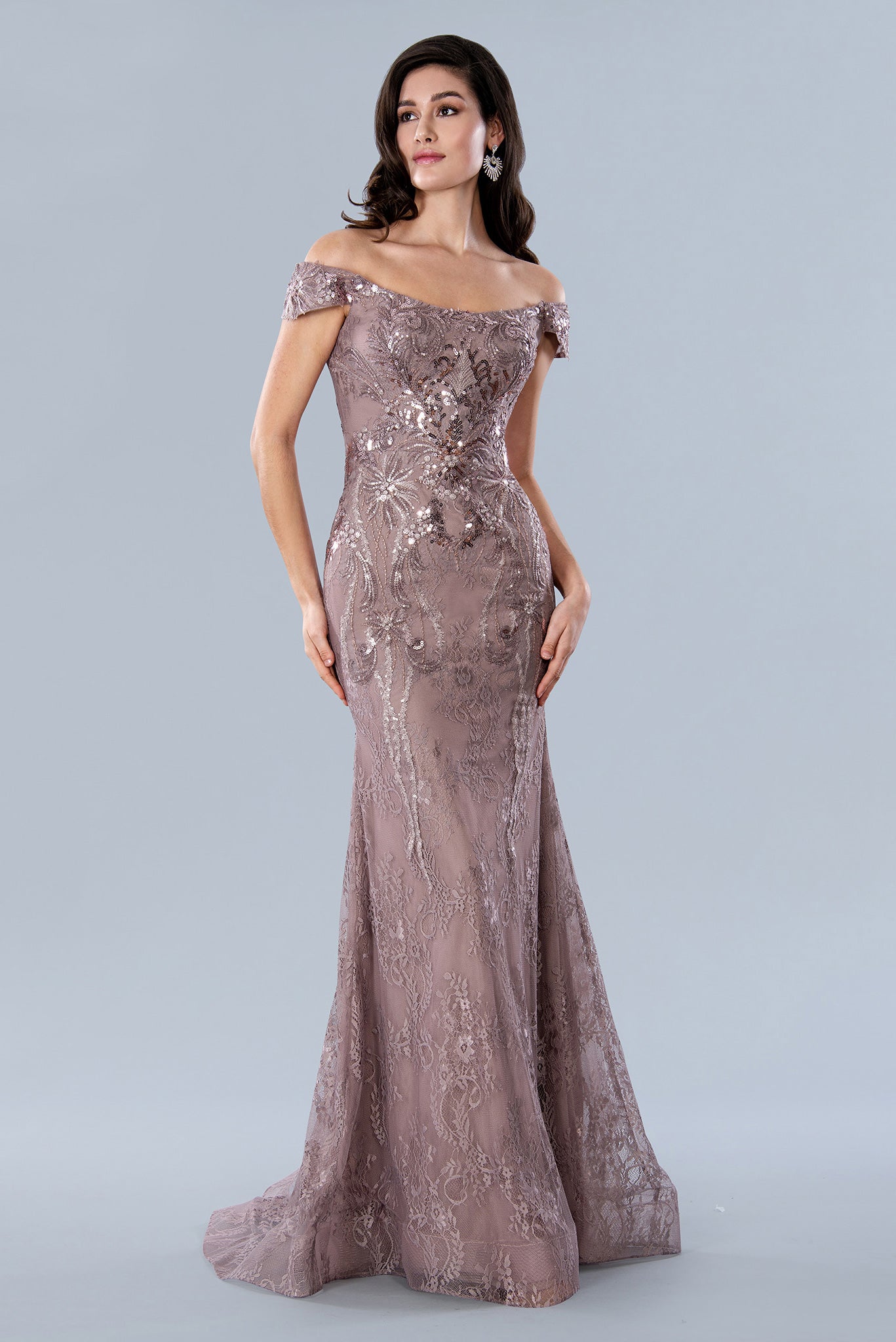 Elevate your formal occasion with the Stella Couture 23357 gown, expertly crafted for a flattering fit and feminine silhouette. This long mother-of-dress features delicate sequin lace detailing and an off-the-shoulder neckline, combining elegance with subtle sparkle. The fit-and-flare design enhances natural curves, ensuring a graceful and sophisticated look for any special event.

Size: 18

Color: Rose