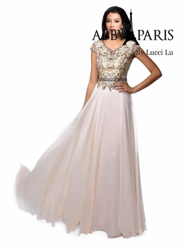Embellished chiffon best sale gown