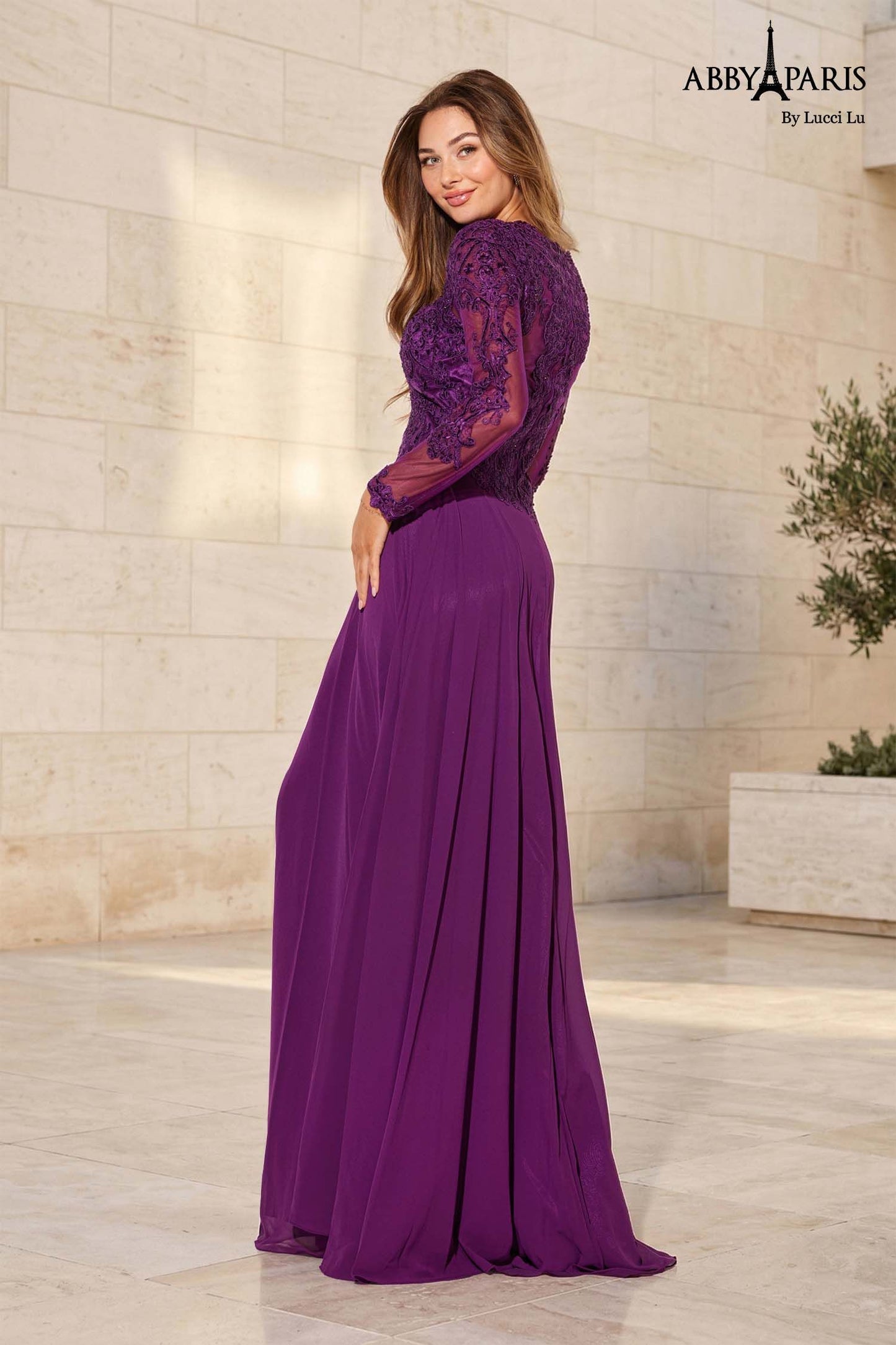 Abby Paris 96044W Lace Long Sleeve A Line Mother Of Dress Formal Evening Gown Plus Size