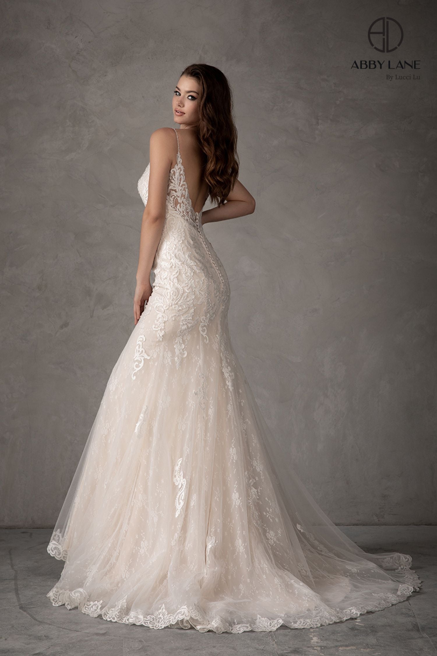 Abby Lane 97108 Size 2 Ivory Champagne Wedding Dress Lace Mermaid Bridal Gown Train Sheer Back Abby Lane 97108 Size 2 Ivory Champagne Wedding Dress Lace Mermaid Bridal Gown Train Sheer Back