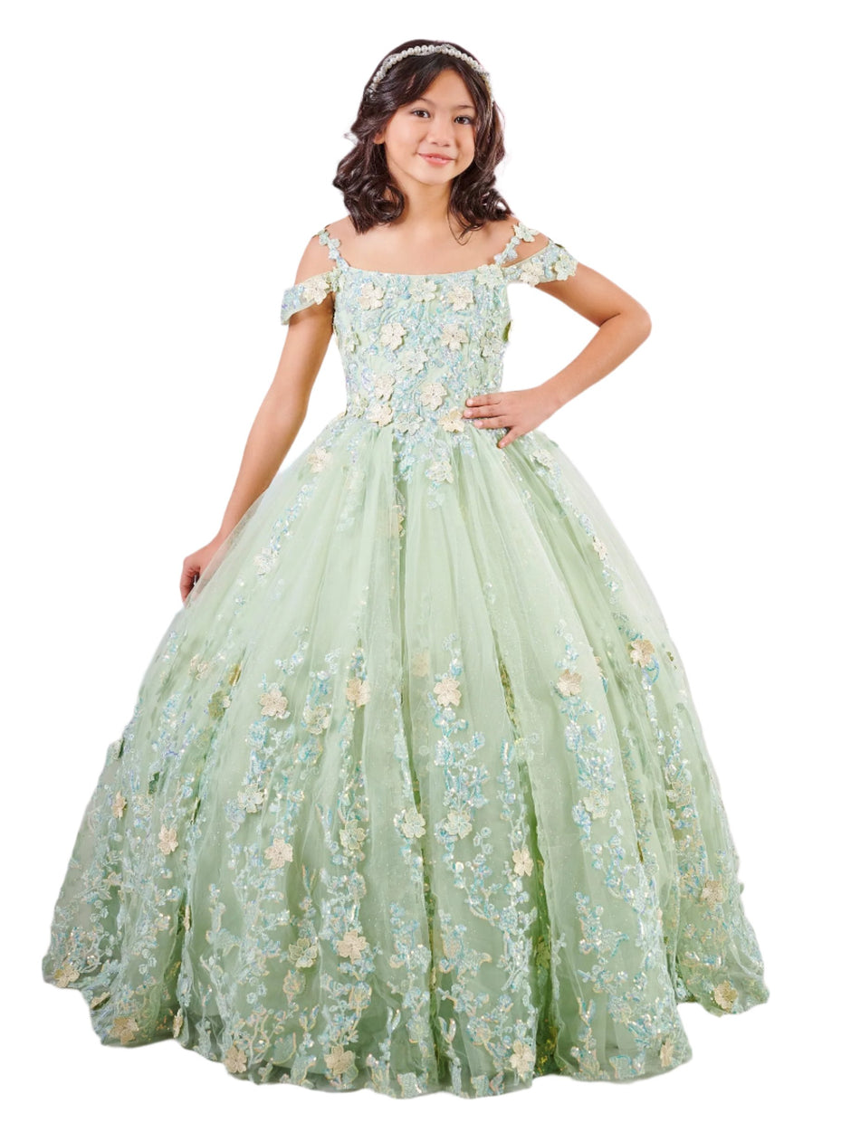 Tiffany Princess Girls Pageant Dresses Preteen Gowns by House of Wu ...