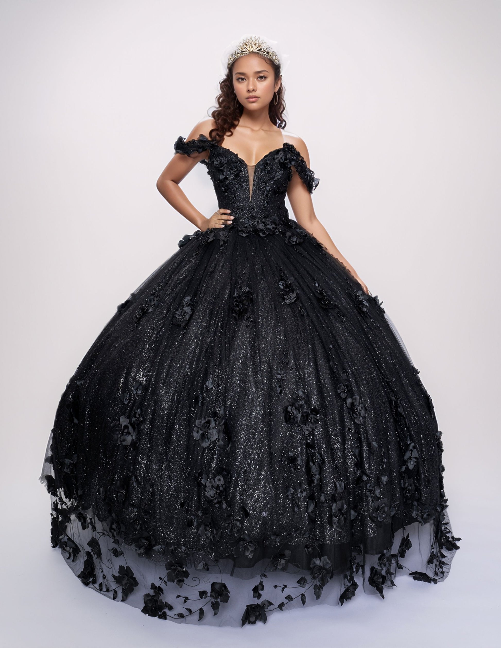 Nina Canacci Q2444 Black Quinceanera Dress 3D Floral Off the Shoulder Plunging V Neckline Glitter Tulle