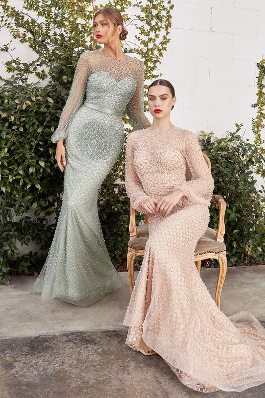 Evening Gowns tagged "Bell Sleeves" Glass Slipper Formals Evening Gowns tagged "Bell Sleeves" Glass Slipper Formals