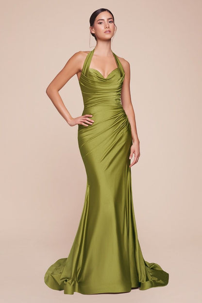 Ladivine CD796 stretch satin dress