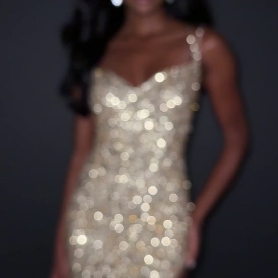 Ashley Lauren Style 12217 is a long prom dress designed for pageant and formal evening events. This elegant gown features Ashley Lauren's signature attention to fit and detail, creating a flattering silhouette that stands out on stage and in photos.

Available Colors: Black, Light Sage, Silver, Gold, Rose Gold

This Ashley Lauren dress is an ideal choice for prom, pageant competitions, formal galas, and red carpet events.

Designer: Ashley Lauren
Style Number: 12217