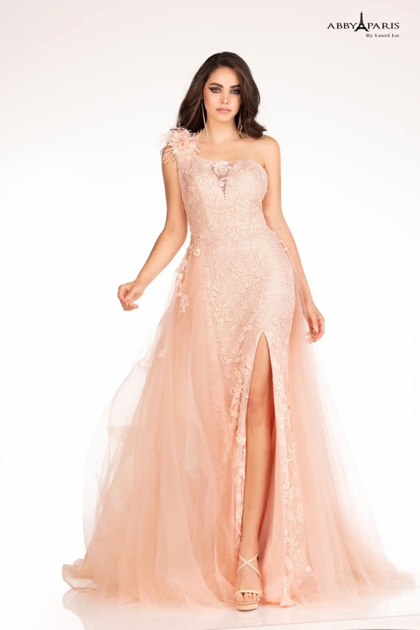 Abby Paris 90109 Evening Gown Size 6 Blush Long Fitted One Shoulder Feather 3d Floral Lace Dress Overskirt Pageant Gown