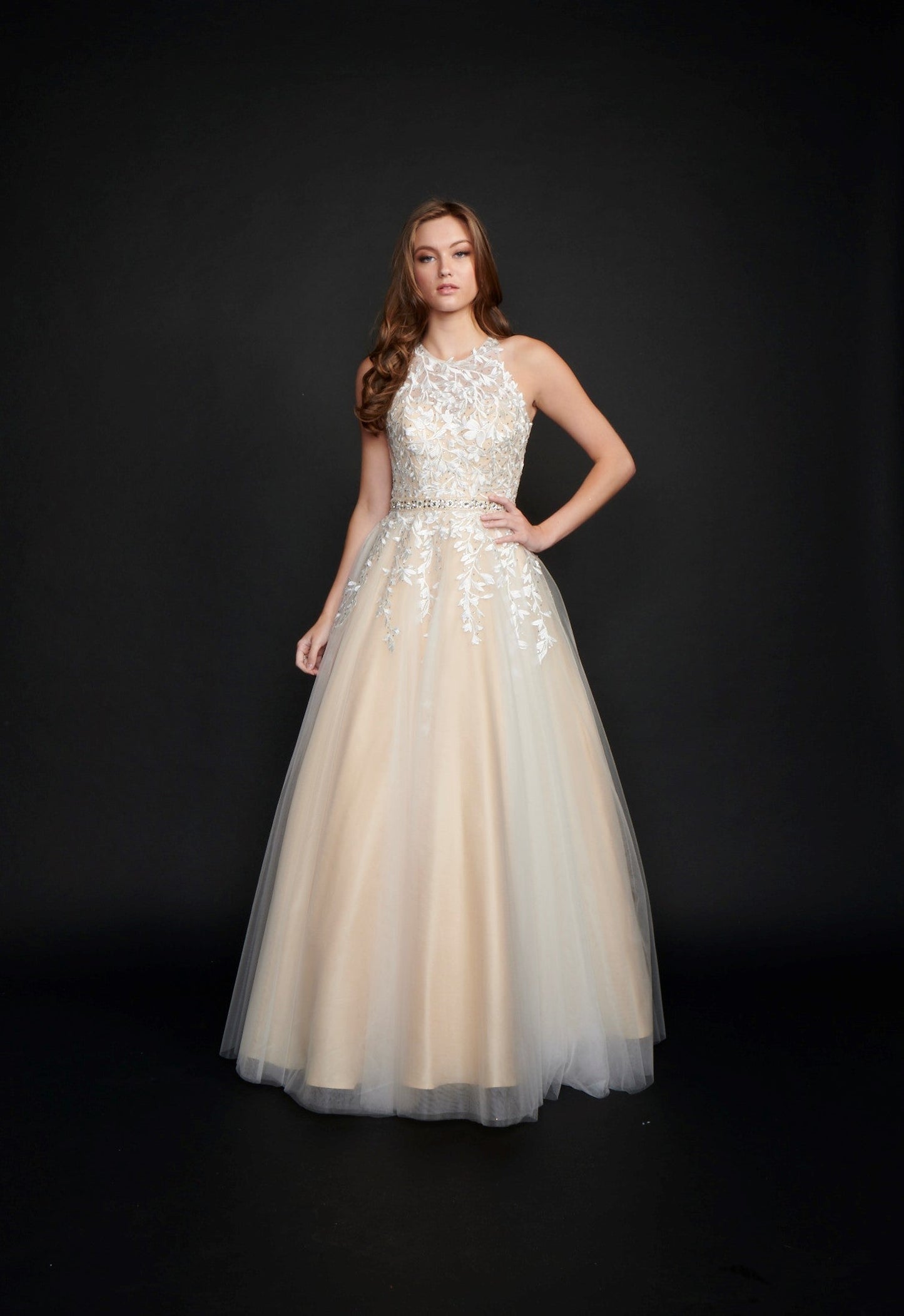 Nina Canacci 3188 Size 6 White Nude Long Lace A Line Ballgown Prom Dre Glass Slipper Formals Nina Canacci 3188 Size 6 White Nude Long Lace A Line Ballgown Prom Dre Glass Slipper Formals