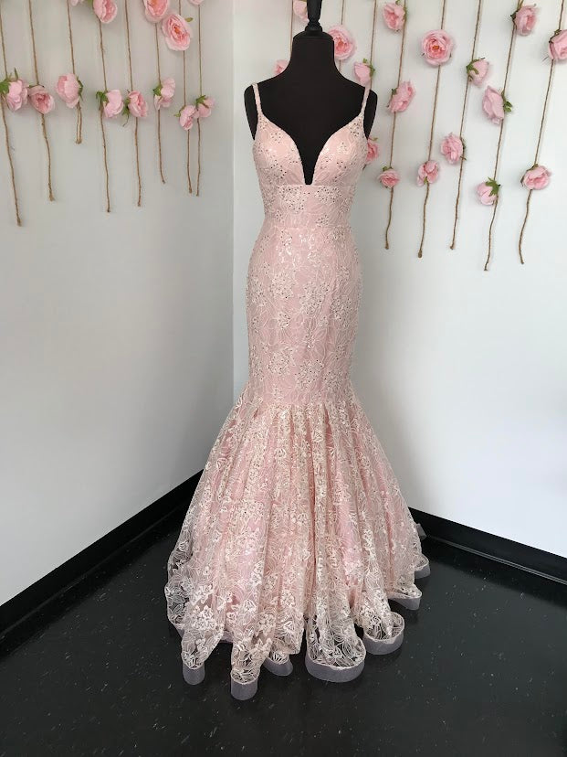 Ashley Lauren 1743 Long Lace formal Mermaid Prom Dress with clear petite sequins  and crystal rhinestone accents. v neckline with a solid lace base. Great pageant Gown  size 4 Blush 