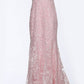 Jovani JVN 02258 sz 2 Pink Lace Fitted Prom Dress Mermaid Gown Plunging Neckline