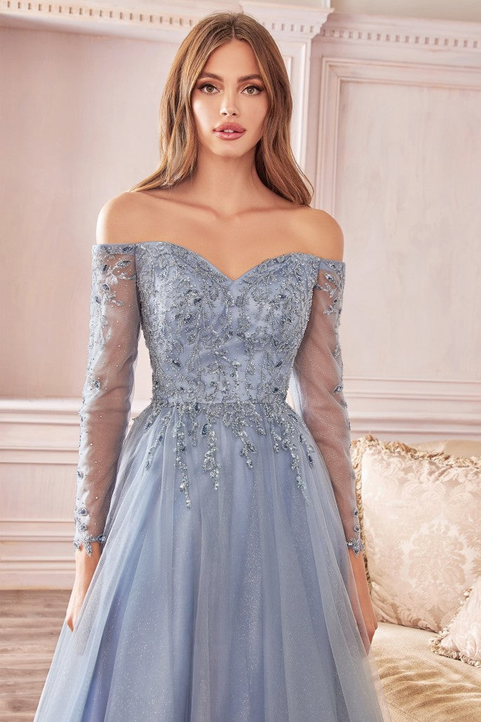 CD 0172 Size 12 Long Shimmer A Line Mother of Sheer Long Sleeve Dress Off the Shoulder CD 0172 Size 12 Long Shimmer A Line Mother of Sheer Long Sleeve Dress Off the Shoulder