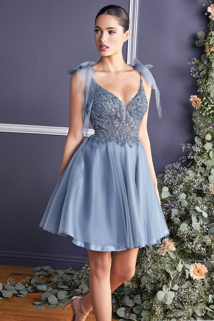 CD 0174 Size 10 Short Fit & Flare Sheer Beaded Formal Cocktail Dress Bow Strap Gown CD 0174 Size 10 Short Fit & Flare Sheer Beaded Formal Cocktail Dress Bow Strap Gown