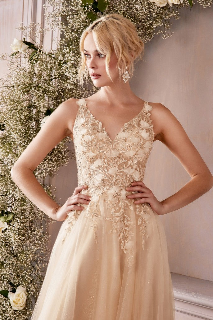 Ladivine CD0181 Size 6 Jade A Line Floral Prom Dress V Neck Formal Gown Ladivine CD0181 Size 6 Jade A Line Floral Prom Dress V Neck Formal Gown