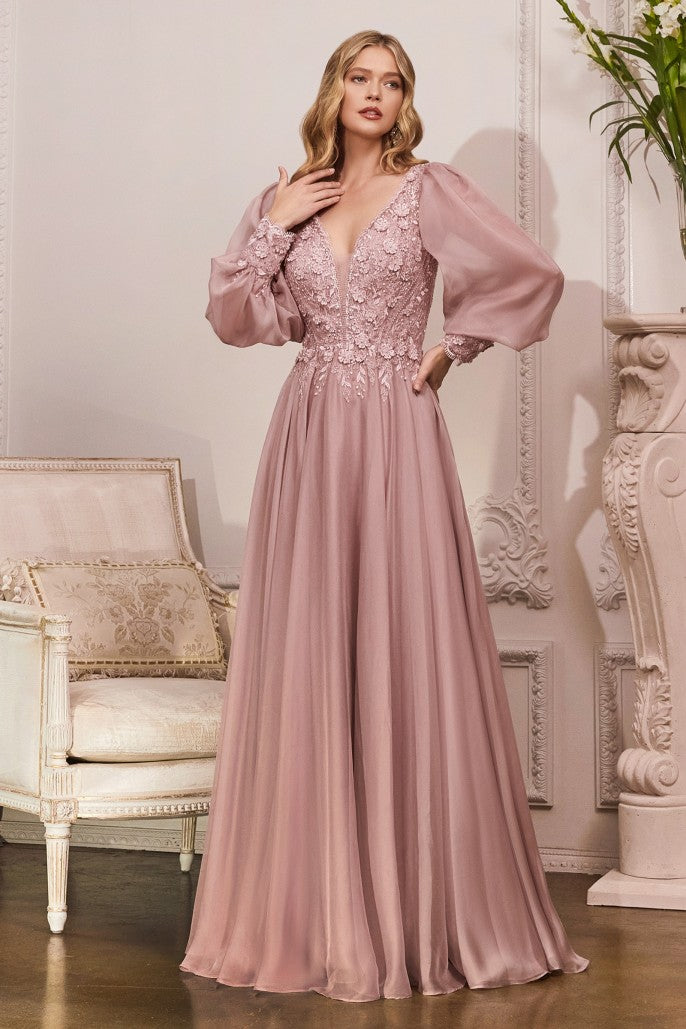 CD 0183 Size 12 Long Chiffon A Line Lace Mother Of Dress Sheer Long Sleeve Formal Gown