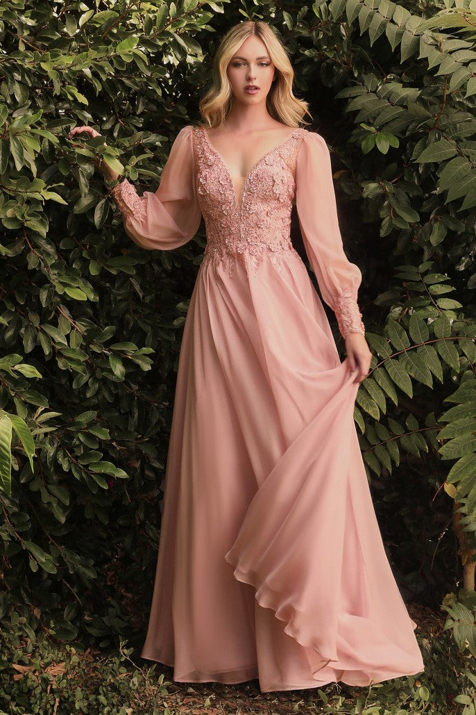 CD 0183 Size 12 Long Chiffon A Line Lace Mother Of Dress Sheer Long Sleeve Formal Gown