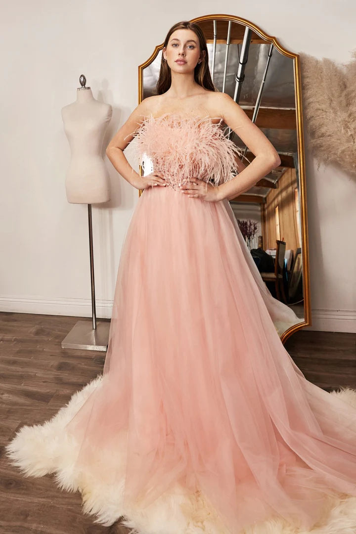 This gorgeous ladivine dress features luxurious long blush tulle fabric and sequin embroidery for an eye-catching look. Its A-line design and strapless silhouette offer a flattering fit for any special occasion. Lightweight and comfortable, the feather trim adds an elegant finish to this show-stopping gown.  Size: 4  Color: Blush